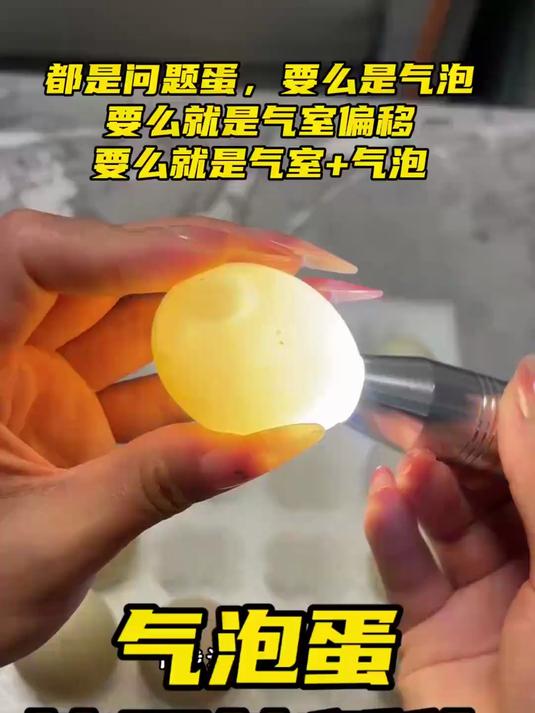 畸形柯尔鸭气泡蛋能不能孵化？我准备挑战一下