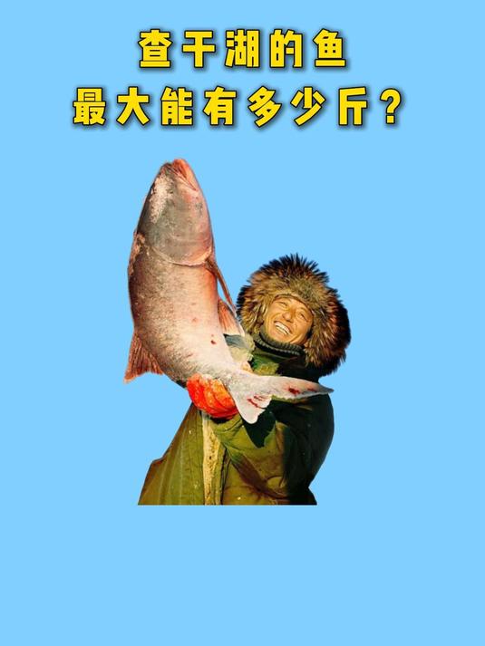 查干湖的鱼,最大能有多少斤?