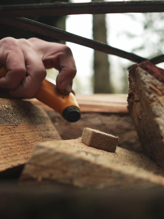 今日菜单:在林间露营地中爆炒章鱼仔