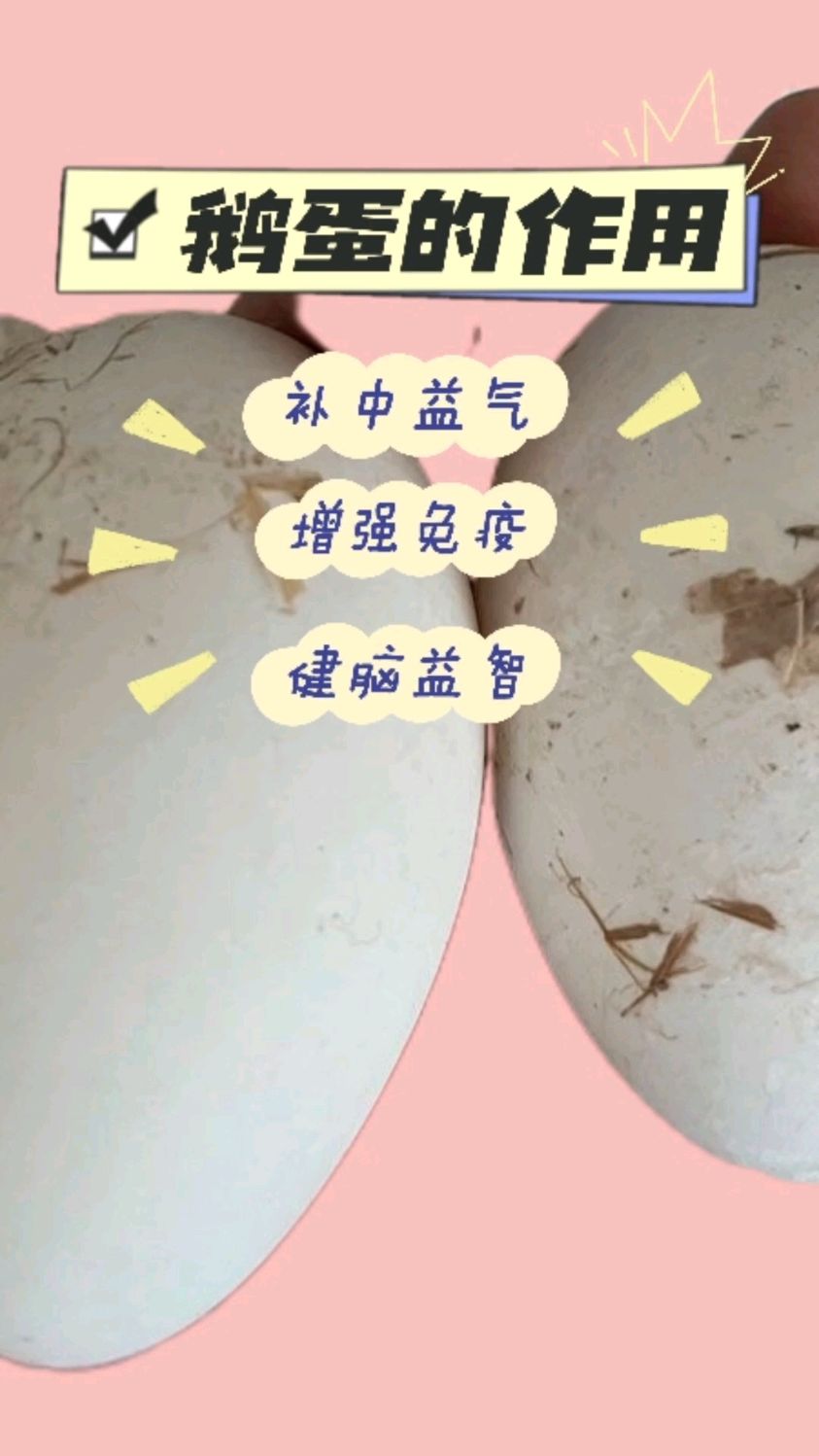 鹅蛋的作用与好处有哪些?