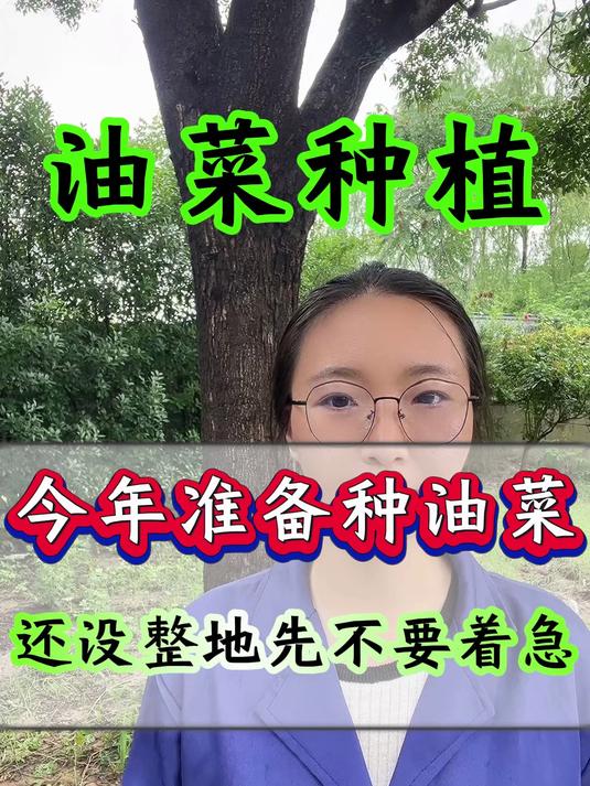 今年准备种油菜 还没整地先不要着急