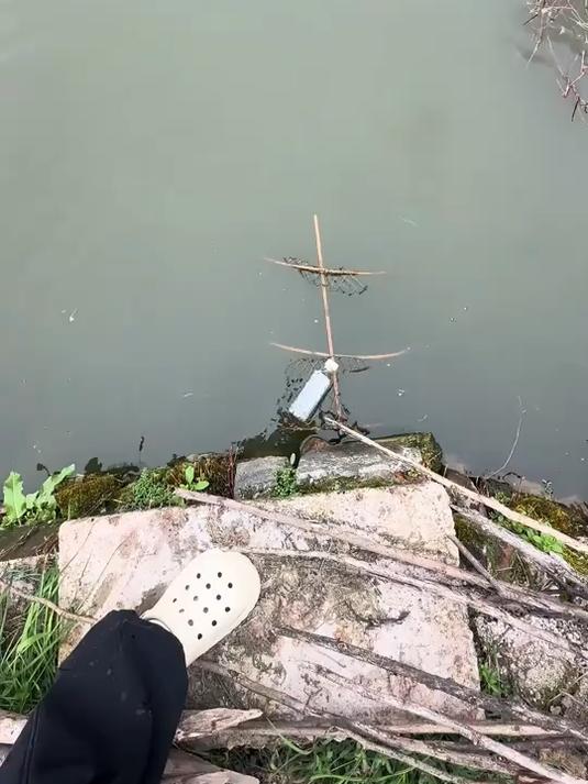 花篮捕鱼的季节到了,爆护的节奏啊,刚放就上鱼了