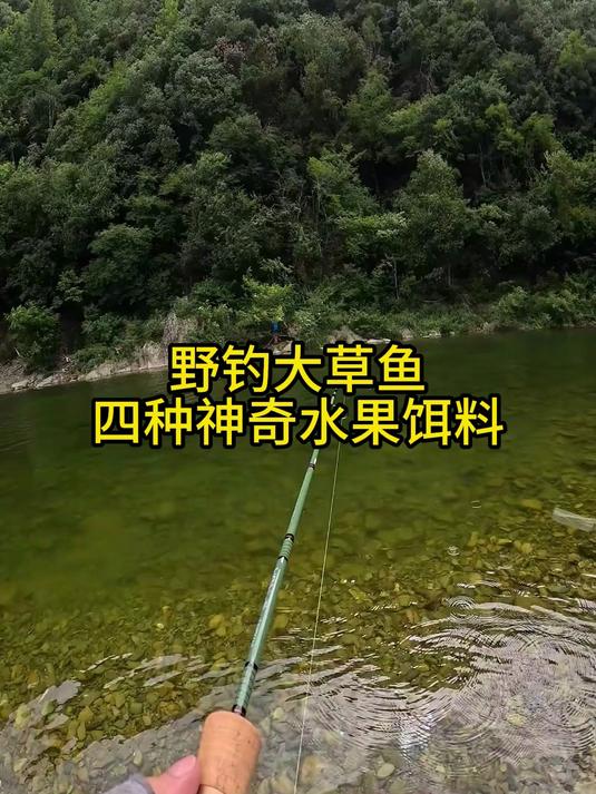 夏季钓鱼救星！这四种水果饵专攻大草鱼，半小时鱼护爆满