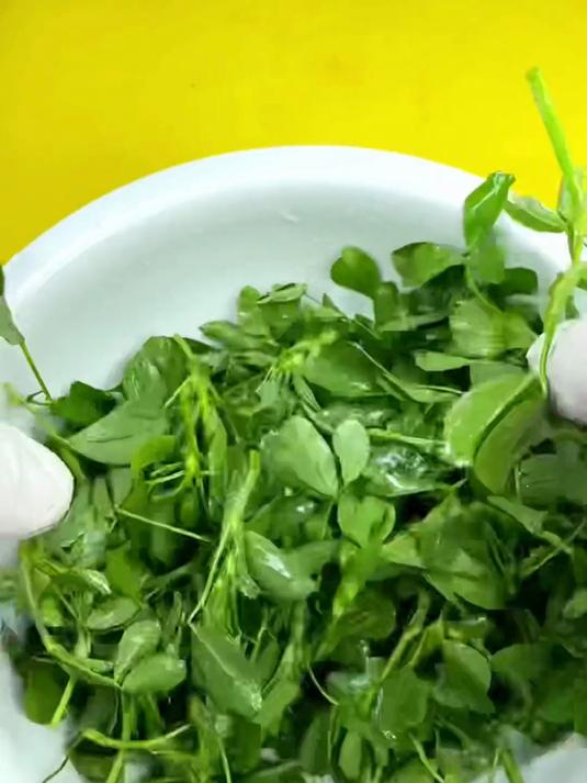 这种做法适合做各种野菜 赶紧试试吧