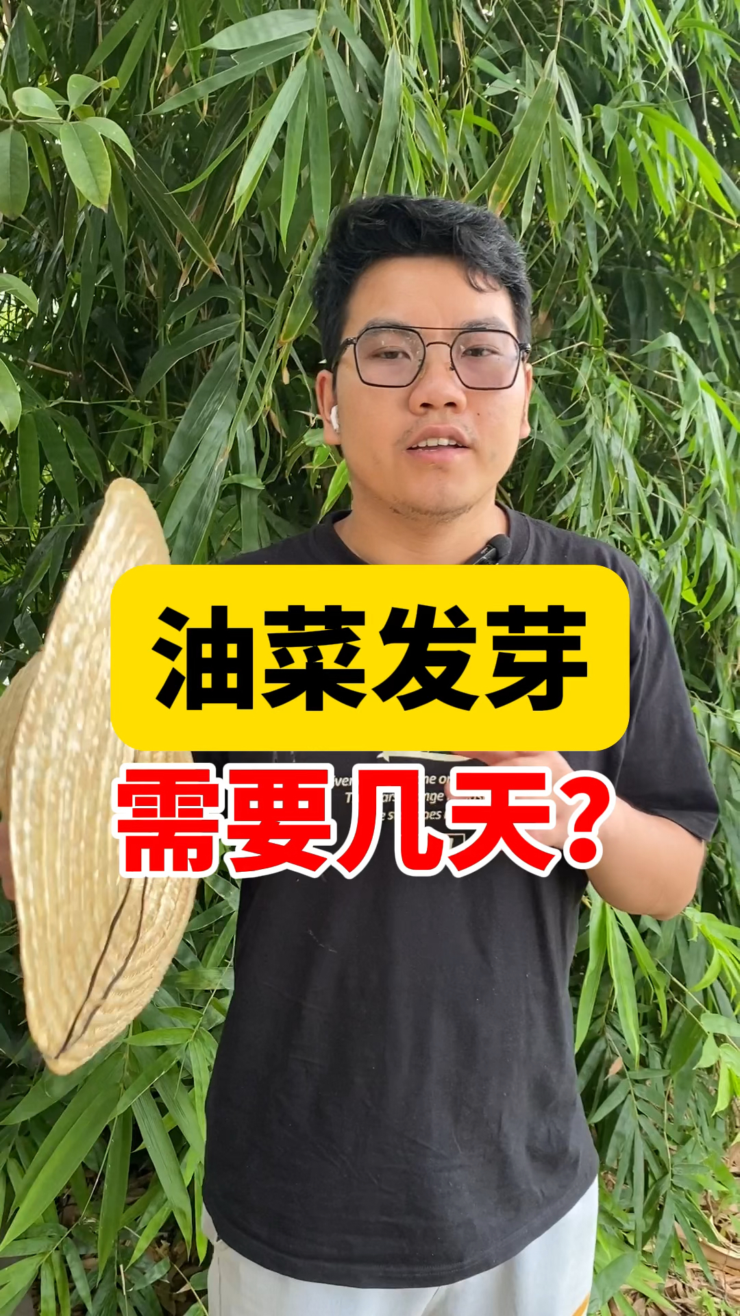 油菜发芽需要几天