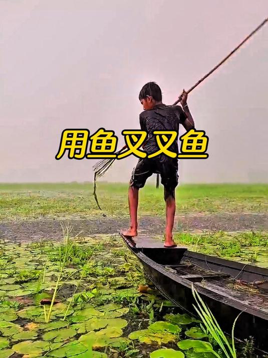 男孩站在船头用鱼叉叉鱼,这技术真是太厉害了