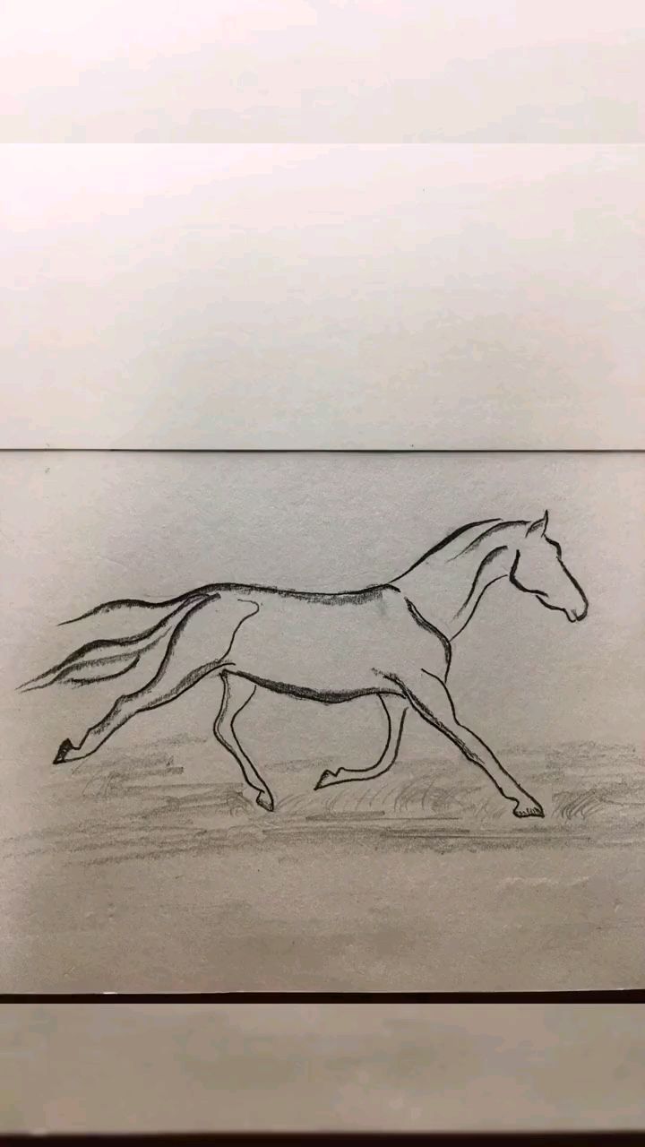 简笔画:教大家画马