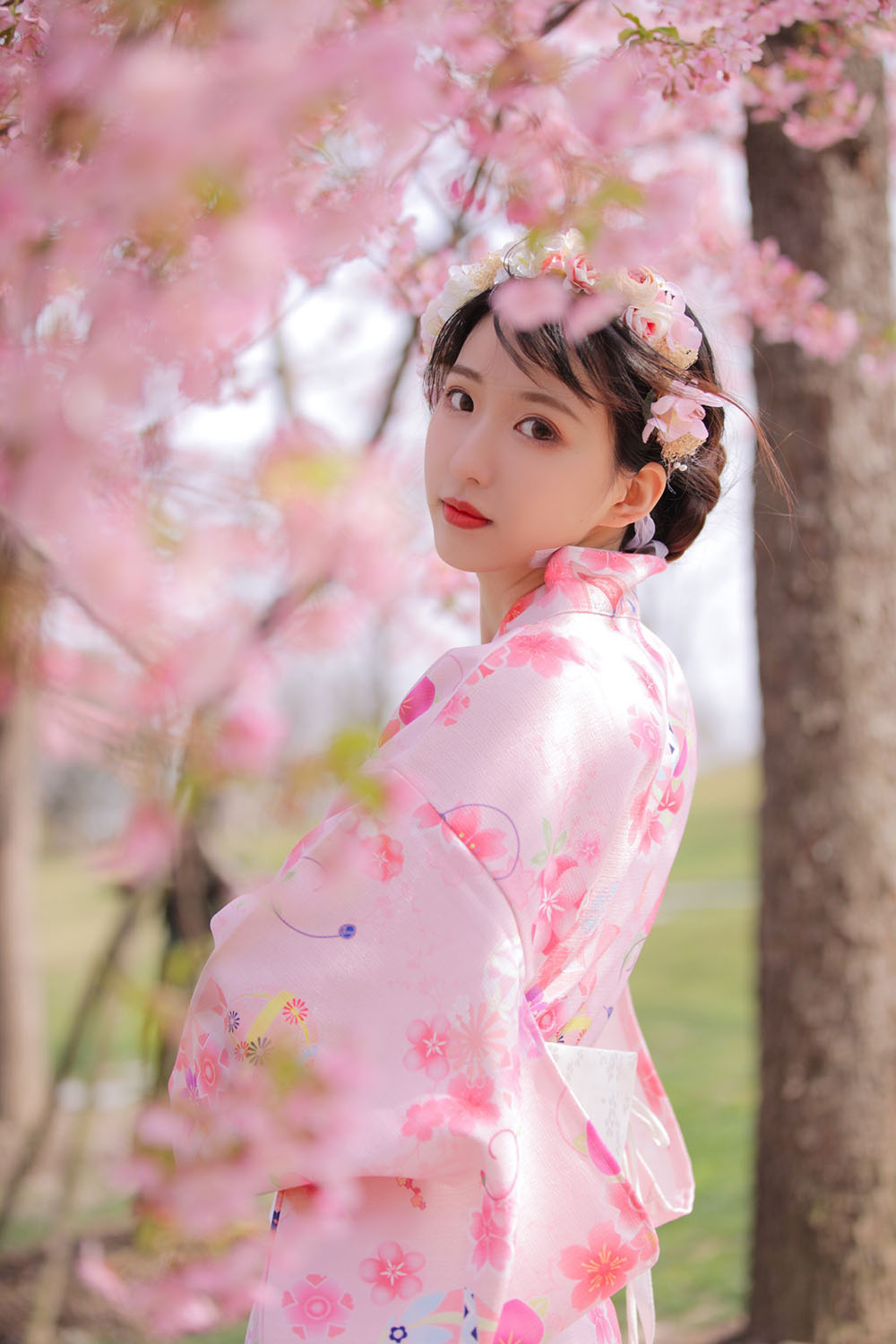 图片[18]-樱花-六色网