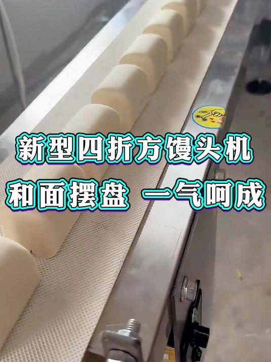 1月18日 (4)四折方馒头机