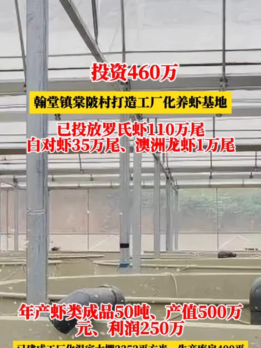 投资460万！打造工厂化养虾基地，产值500万、利润250万！