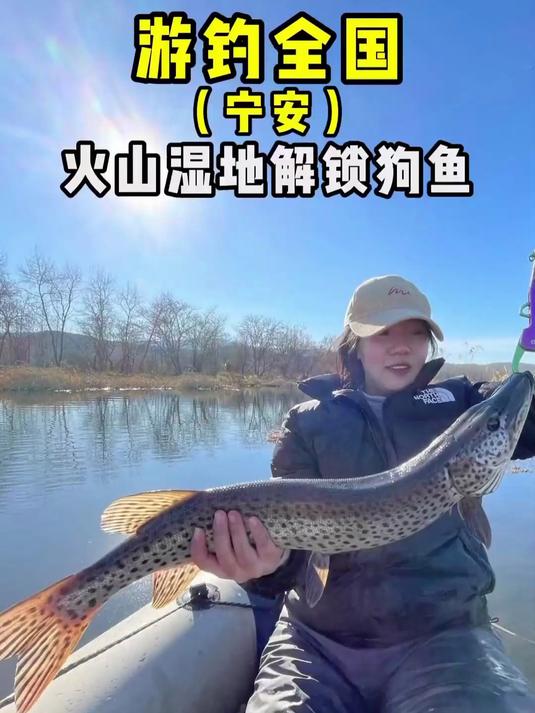 游钓全国(宁安)，寻找火山湿地中的米级狗鱼！