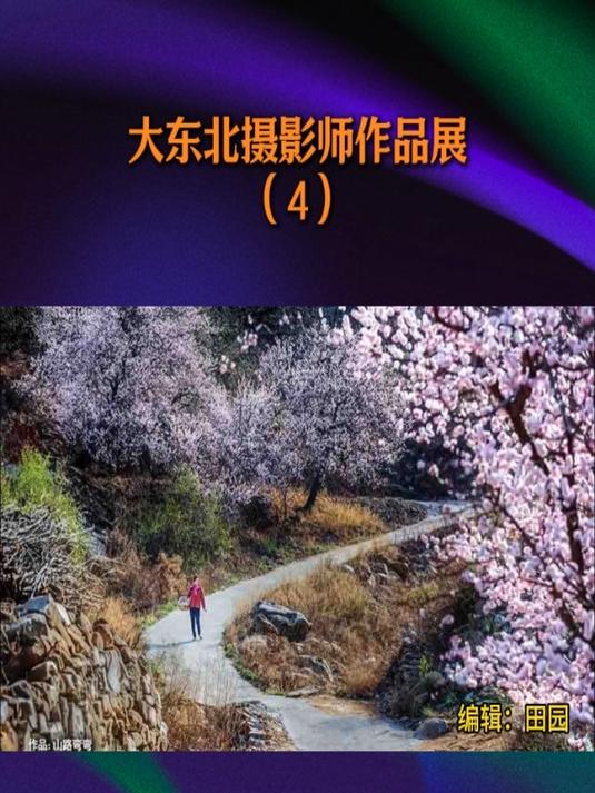 《大东北摄影师作品展》(4)采编 田园