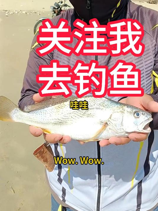 沙滩钓花姑鱼选这里