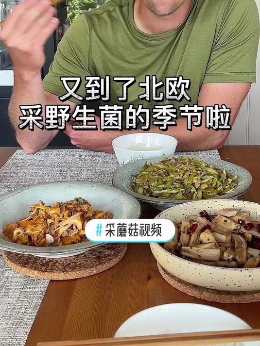 到了北欧森林采野生菌的季节,这次采的是常见的鸡油菌