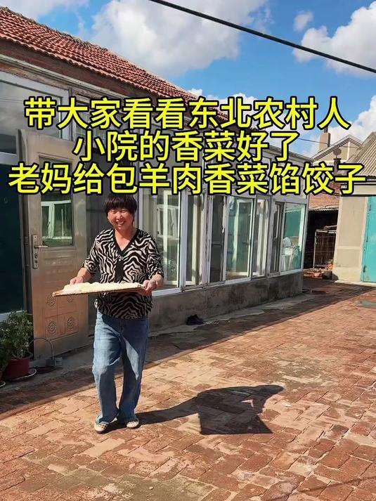 羊肉香菜饺子