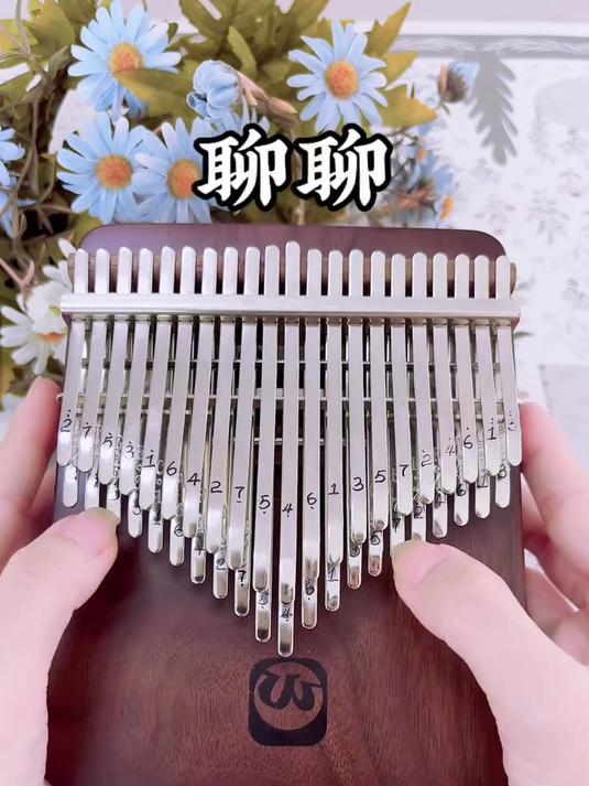 卡林巴拇指琴-聊聊