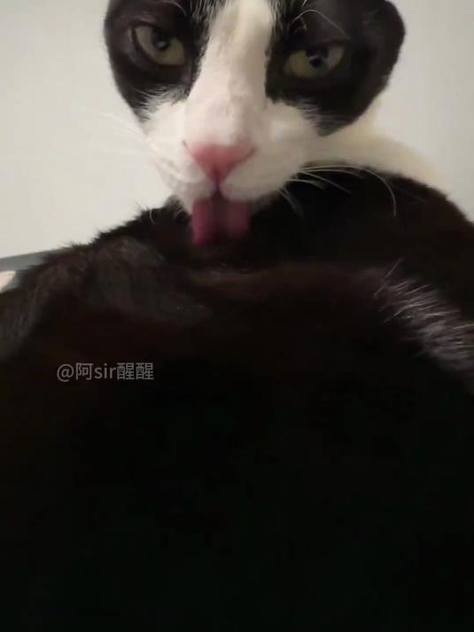 鸭头～想哥了吗