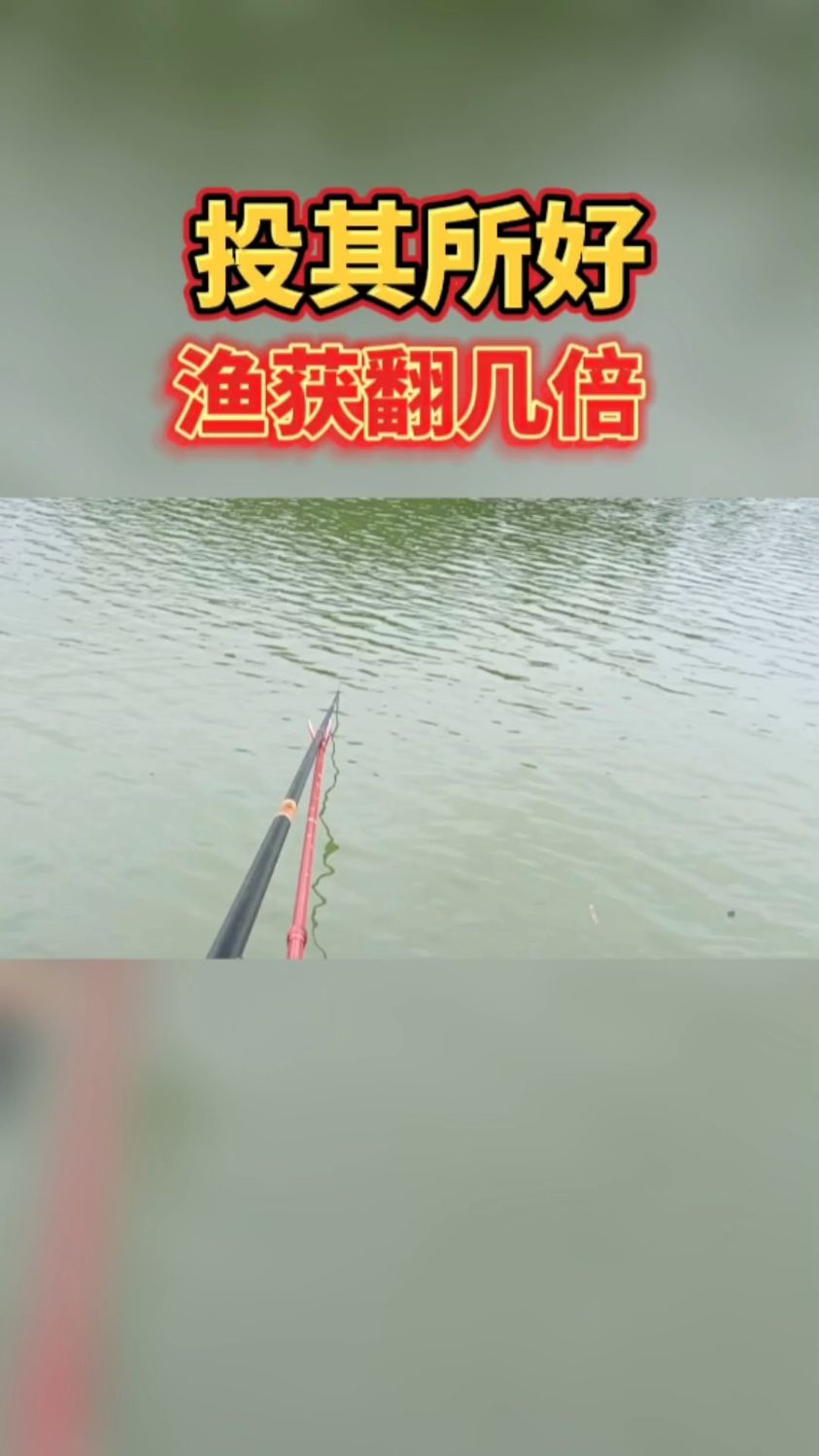 不同的鱼喜欢不同的颜色,你清楚吗?