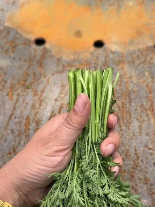 奶奶传授的捆菜结技巧，简单实用，让蔬菜捆扎更牢固 #绳结技巧 #绳结