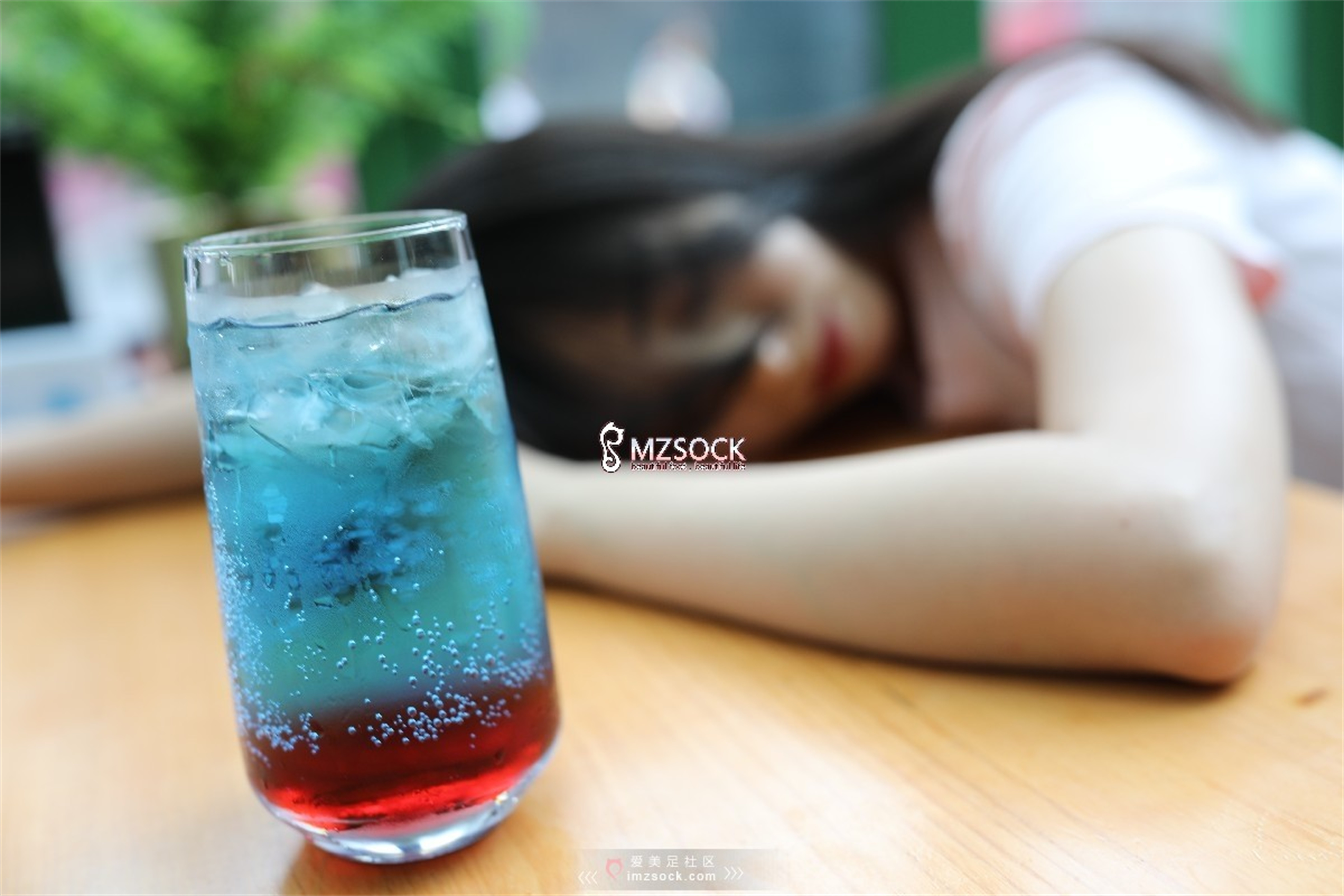 图片[2]-[MZSOCK]爱美足 NO.046 晶晶[81P163M]-六色网
