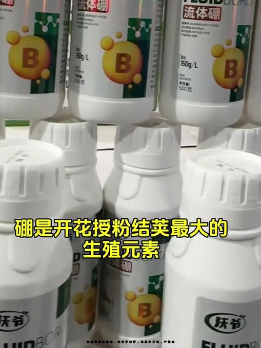 流体硼助力油菜:花芽分化好,花果多又优,产量高