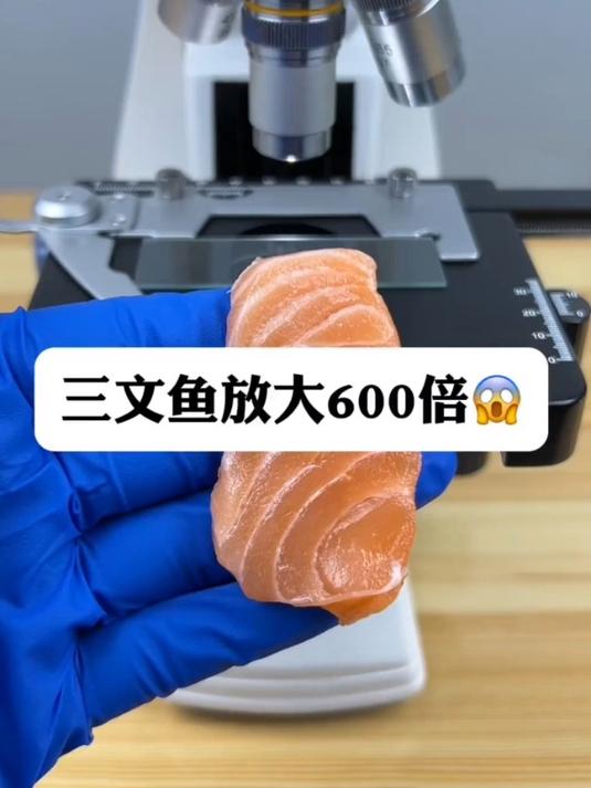 三文鱼真有寄生虫吗?