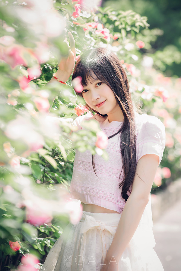 图片[16]-Blooming rose-六色网