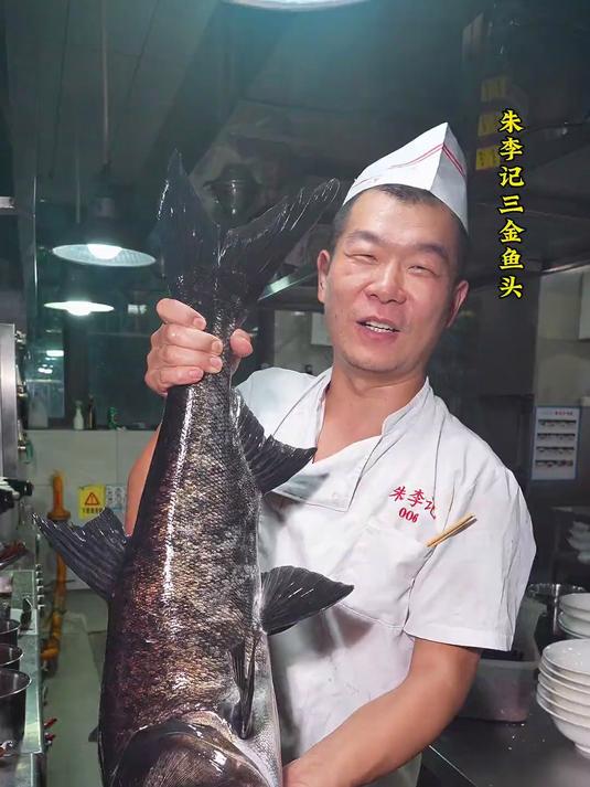 九江三金大鱼头 江西老表做鱼头绝对有一套!