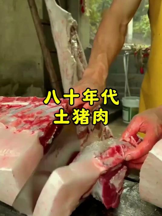 80年代的土猪肉 80后童年回忆