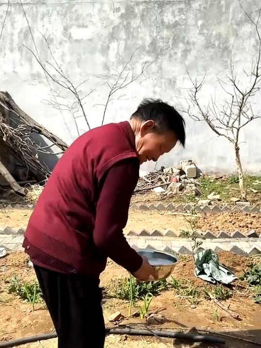 山东人的春天是从一顿野菜开始的