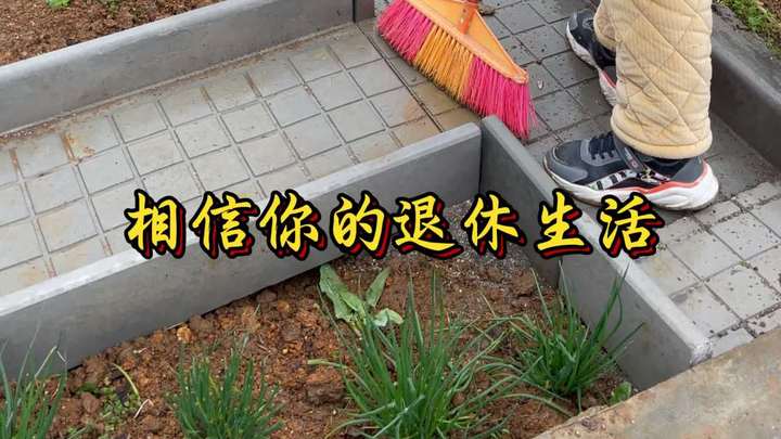 你还不知道吧?农村菜园偷偷变样了