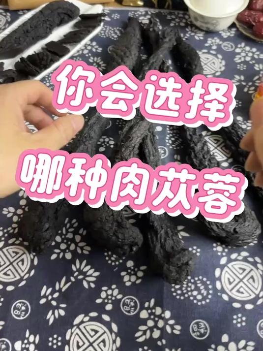 今天讲解,肉苁蓉