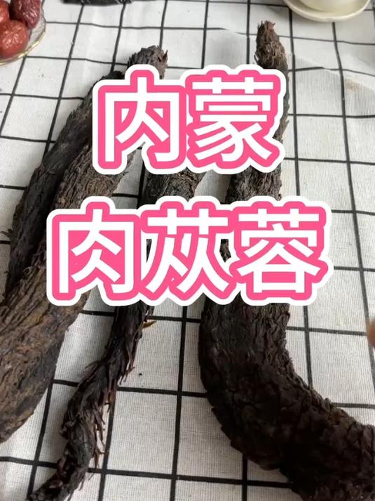 肉苁蓉,珍贵的植物,被称为沙漠之参