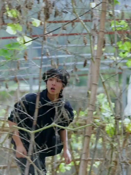 鸡鱼一锅鲜,快活似神仙