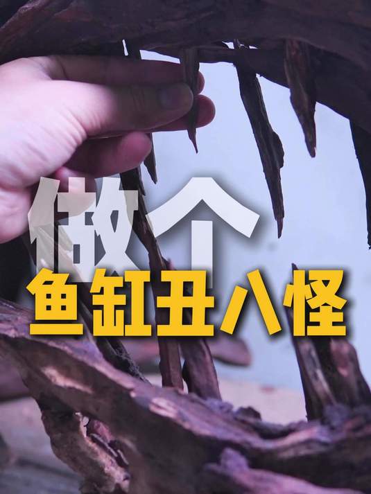 这个鱼缸造景我觉得你没见过吧~