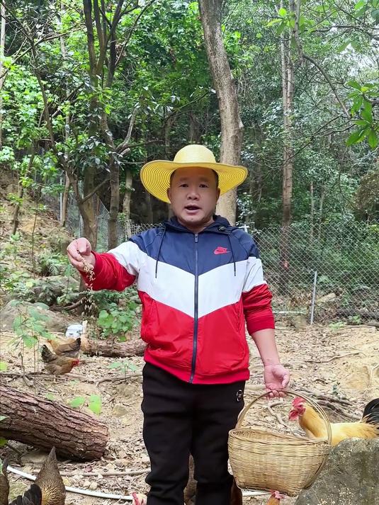 醒醒吧!价格低到离谱的土鸡,不可能是真的