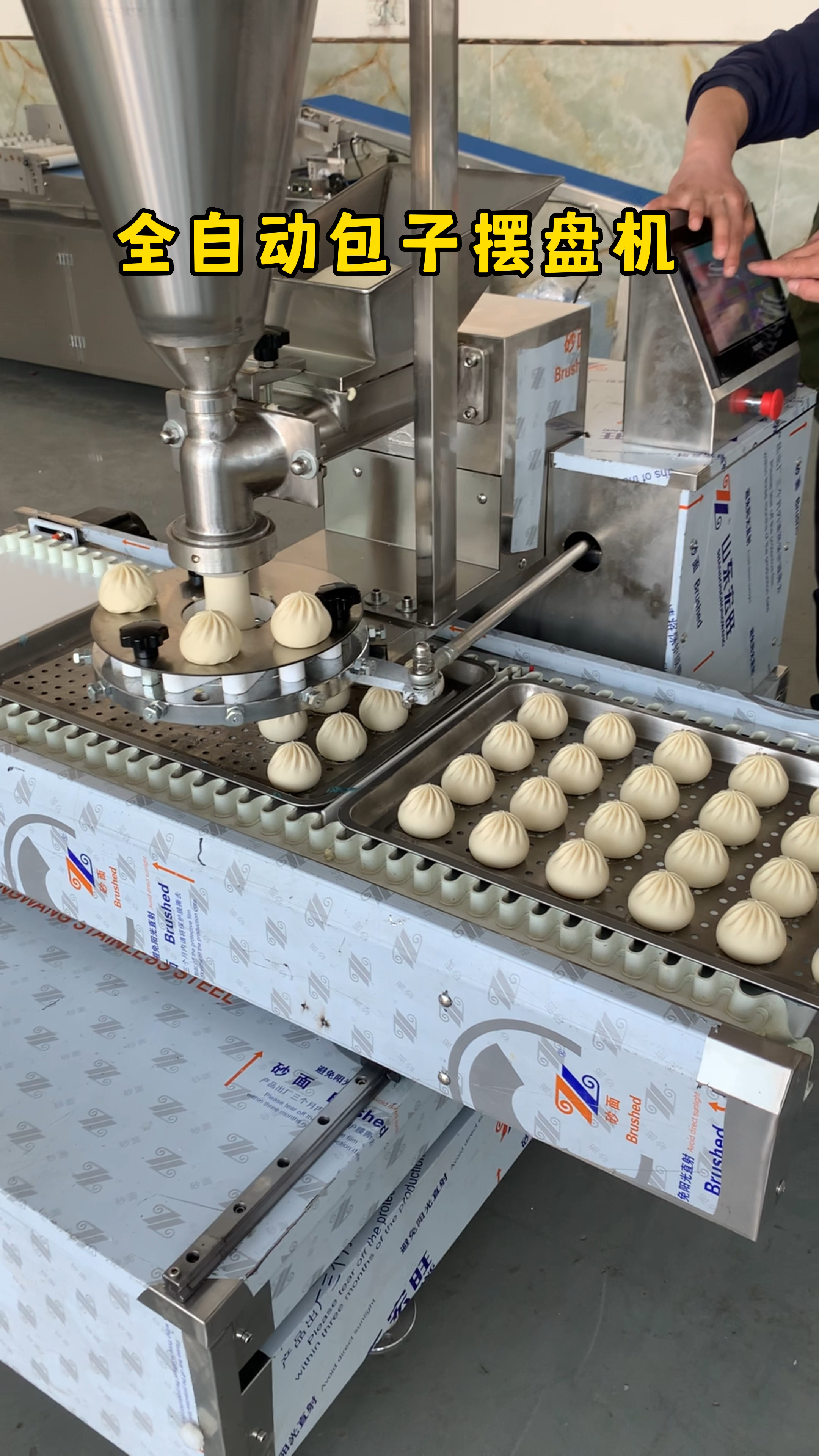 自动摆盘包子机