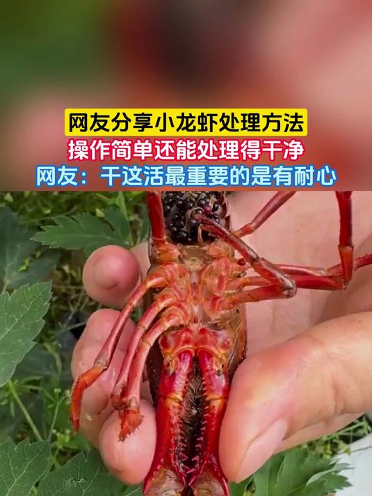 网友分享小龙虾处理方法，操作简单还能处理得干净，网友：干这活最重要的是有耐心