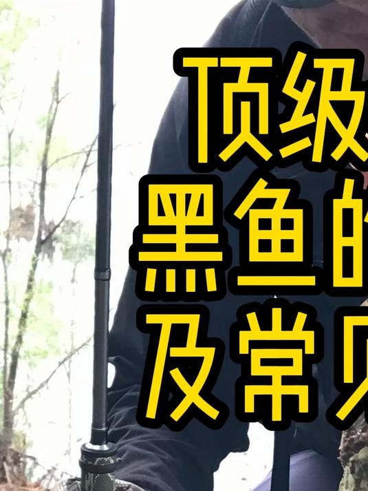 路亚黑鱼都怎么玩