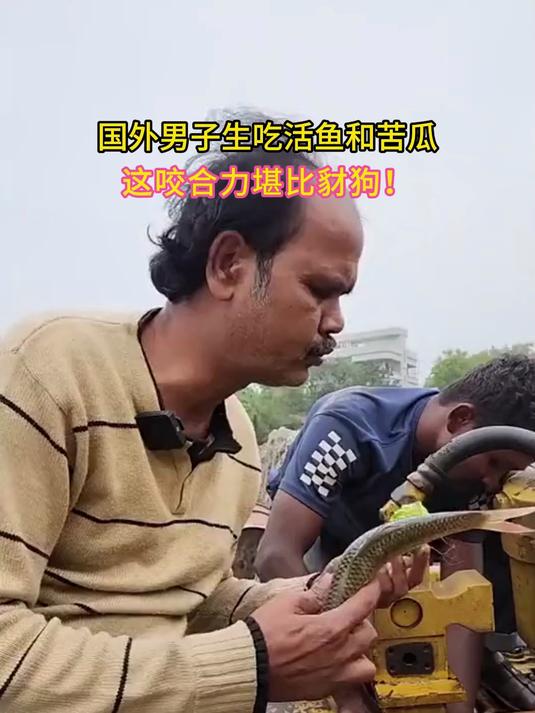国外男子生吃活鱼和苦瓜这咬合力堪比豺狗！