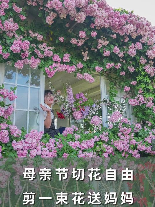 母亲节切花自由,剪一束花送妈妈
