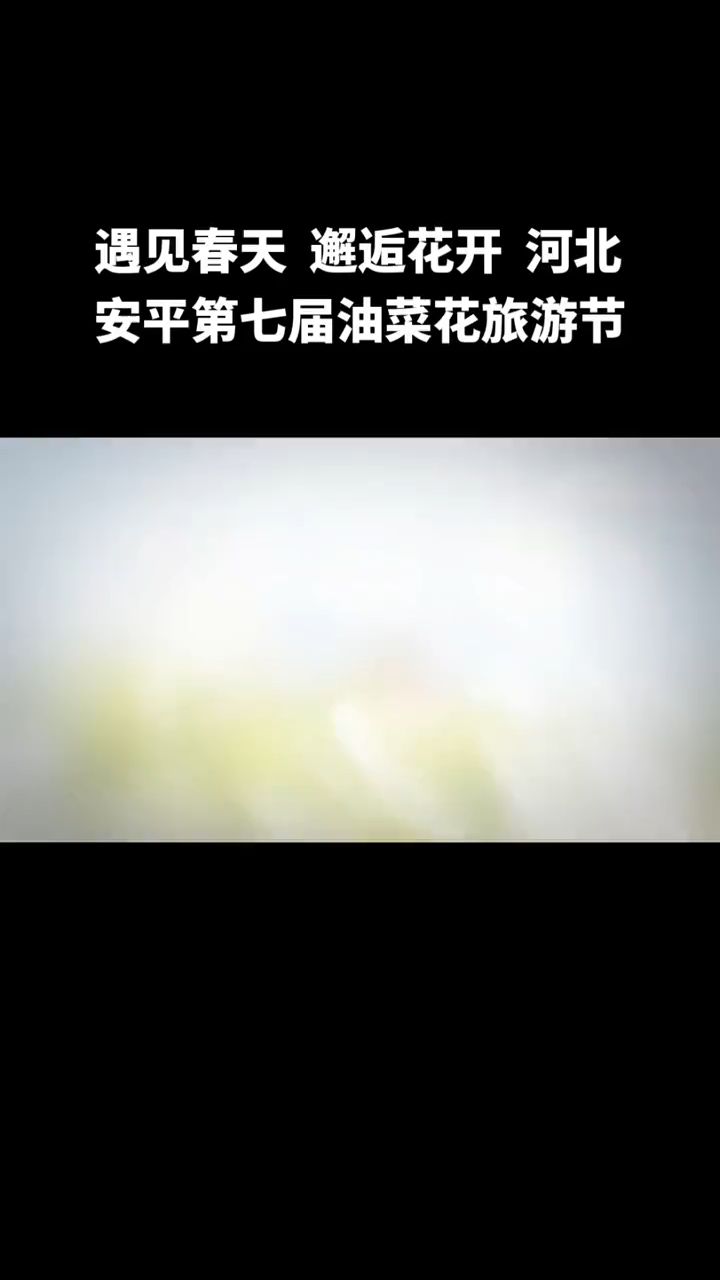 河北安平第七届油菜花旅游节来喽 一起遇见春天 邂逅花开