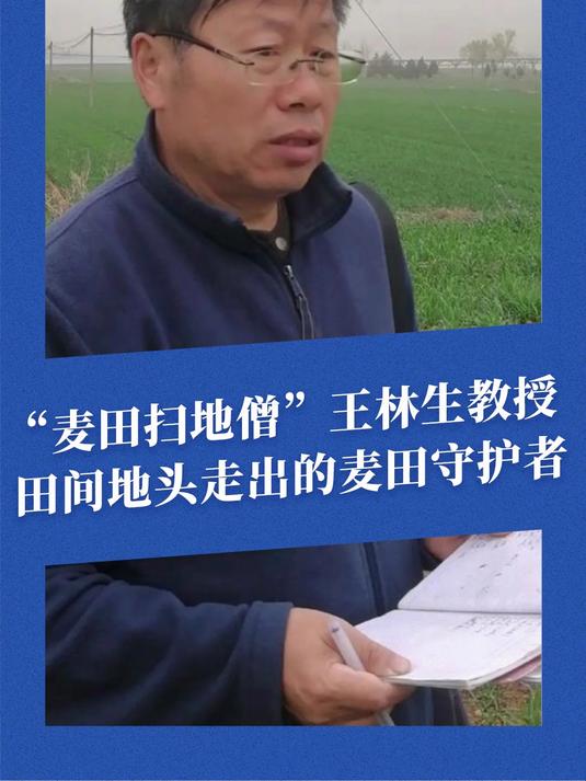这个教授在客厅搓麦子,40年,心中只有他的麦田