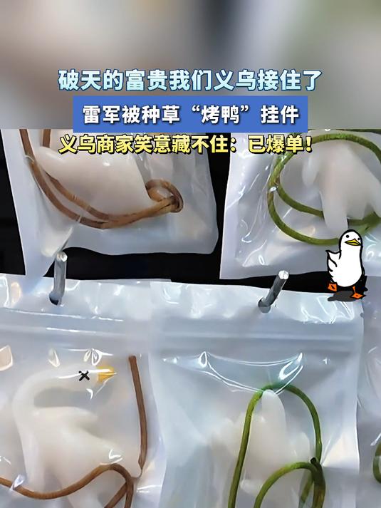 破天的富贵我们义乌接住了,雷军被种草“烤鸭”挂件