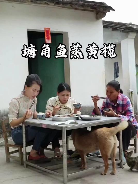 塘角鱼蒸黄榄#美食#