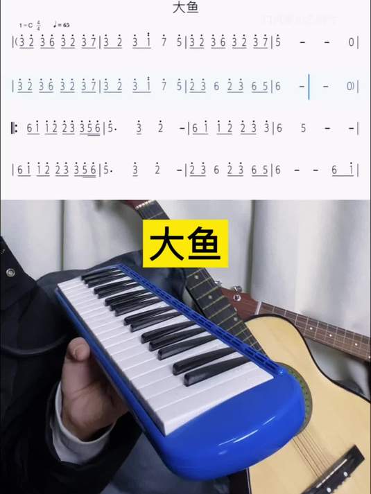 「大鱼」一首很适合口风琴演奏的曲子