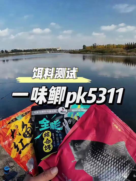 秋冬野钓饵料谁才是真正的鲫鱼之王