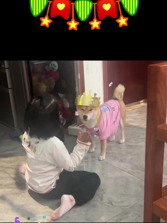 一切都是假的,生日是假的,蛋糕也是假的