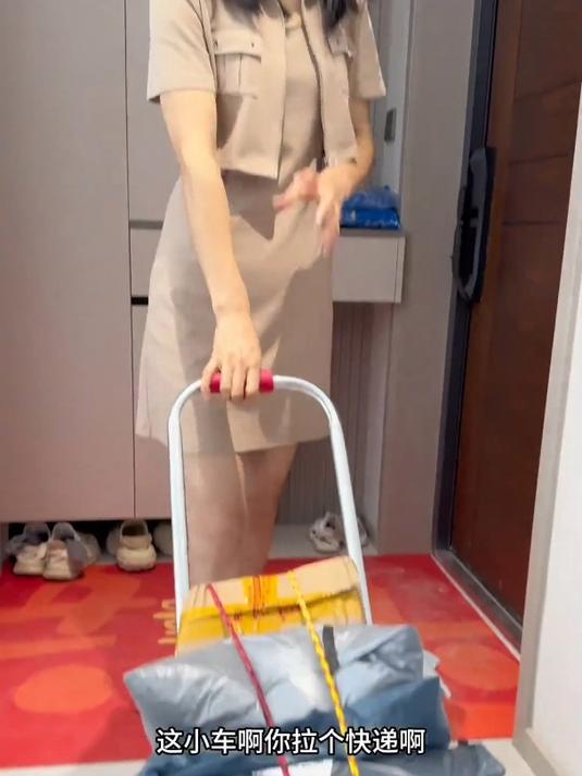 小拉车折鲁家用搬运拖车购物买菜摆摊于推车轻便携行