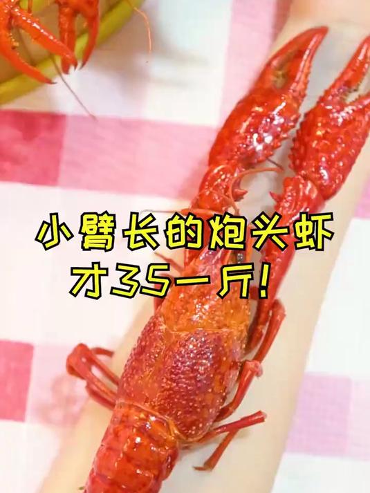 南昌很少见的炮头虾,一斤足足有我小臂那么长